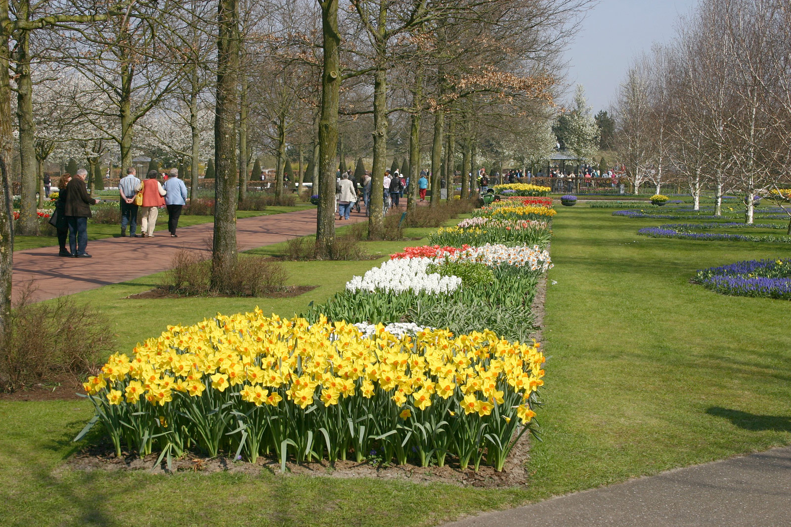 Keukenhof, Lisse